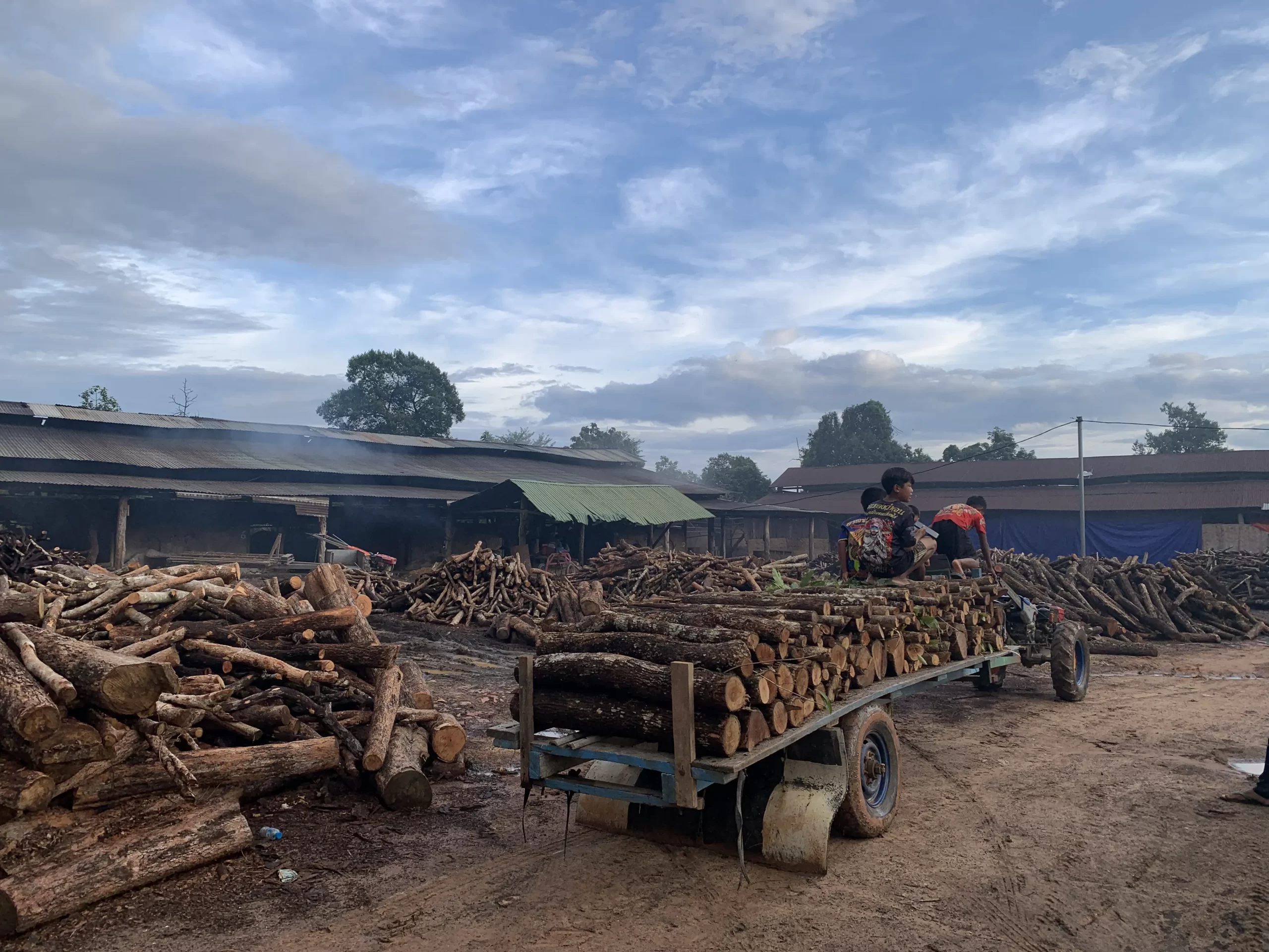 binchotan grilling charcoal